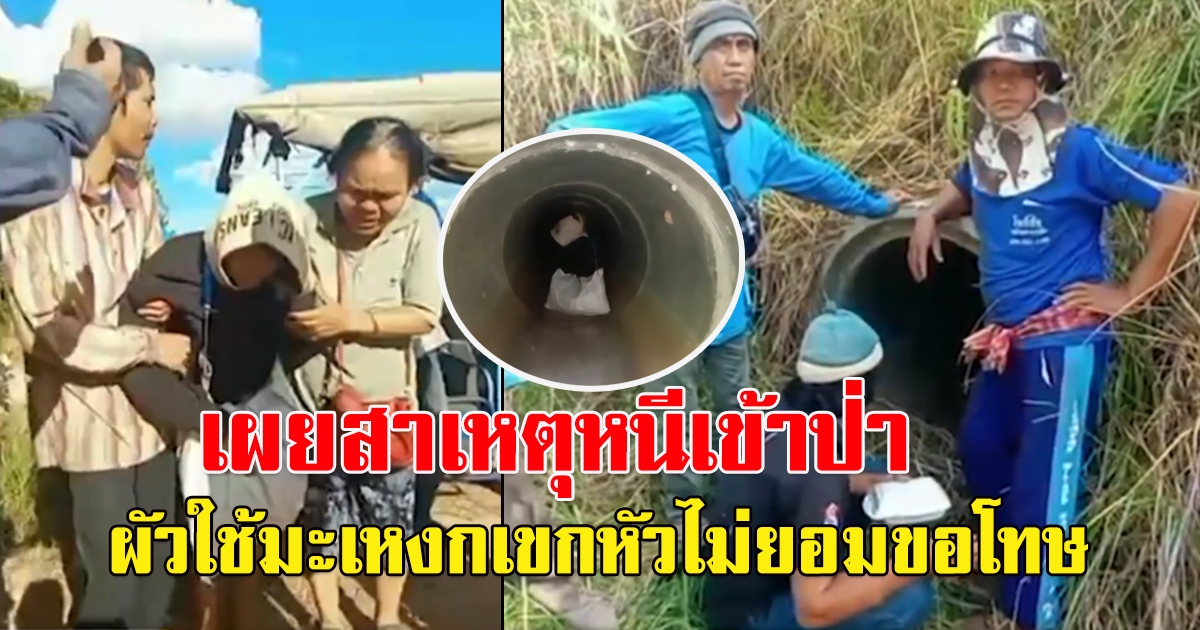 ภรรยาน้อยใจสามี หนีเข้าป่า ชาวบ้านระดมตามหา 4 วัน