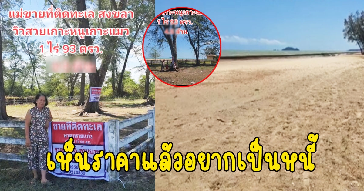 หนุ่มโพสต์ แม่ประกาศขายที่ติดทะเล วิวเกาะ เห็นราคาแล้วอยากเป็นหนี้