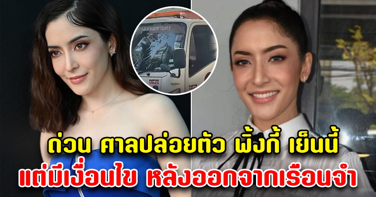 ด่วน ศาลมีคำสั่ง ปล่อยตัวพิ้งกี้ เย็นนี้ แต่มีเงื่อนไข