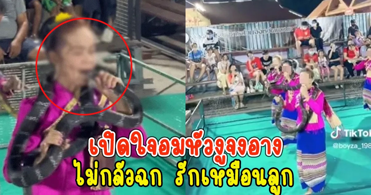 เปิดใจอมหัวงูจงอาง ลั่น ไม่กลัวฉก รักเหมือนลูก