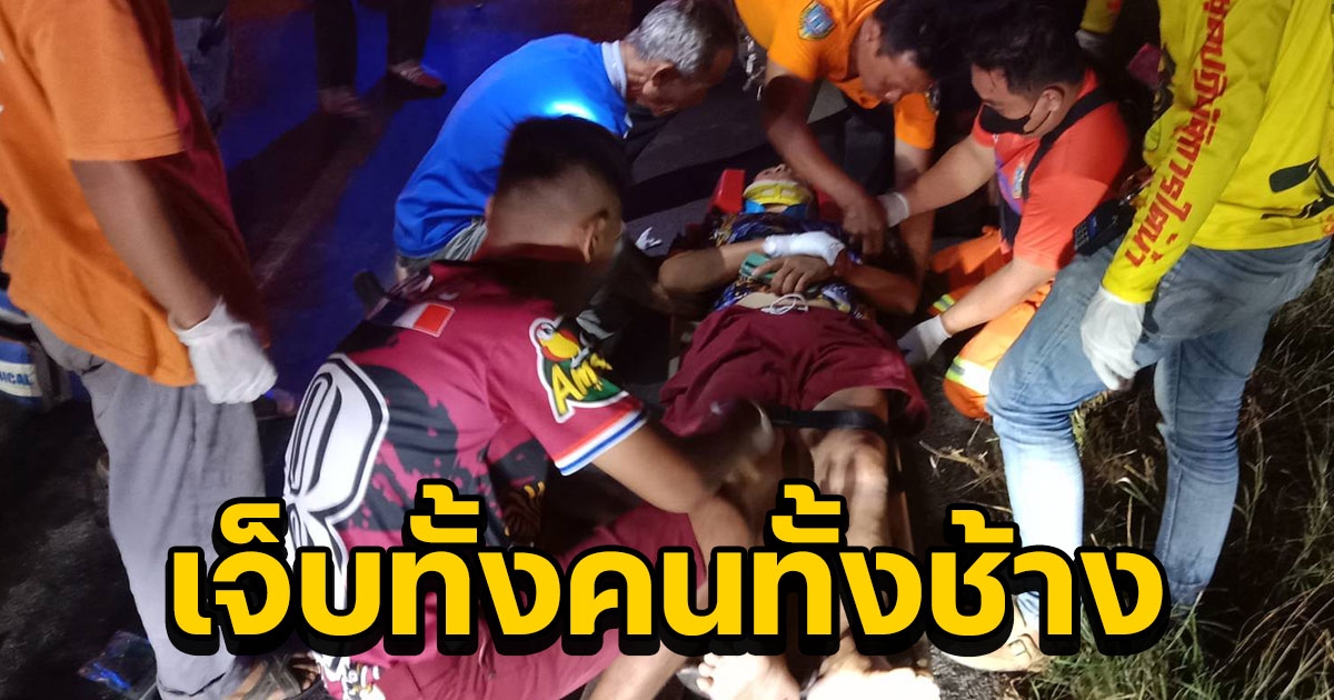 กระบะชนช้างป่าสลักพระ กลางดึก เจ็บทั้งคน และ ช้าง