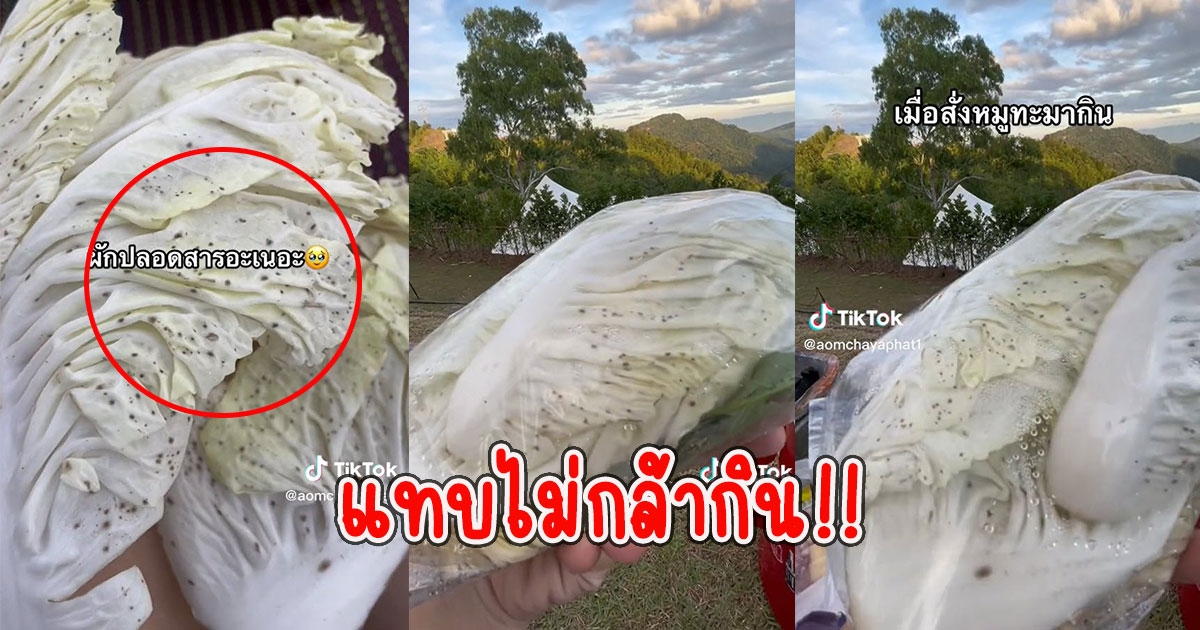 สาวสั่งหมูกระทะมากิน เจอผักกาดขาว แทบไม่กล้ากิน