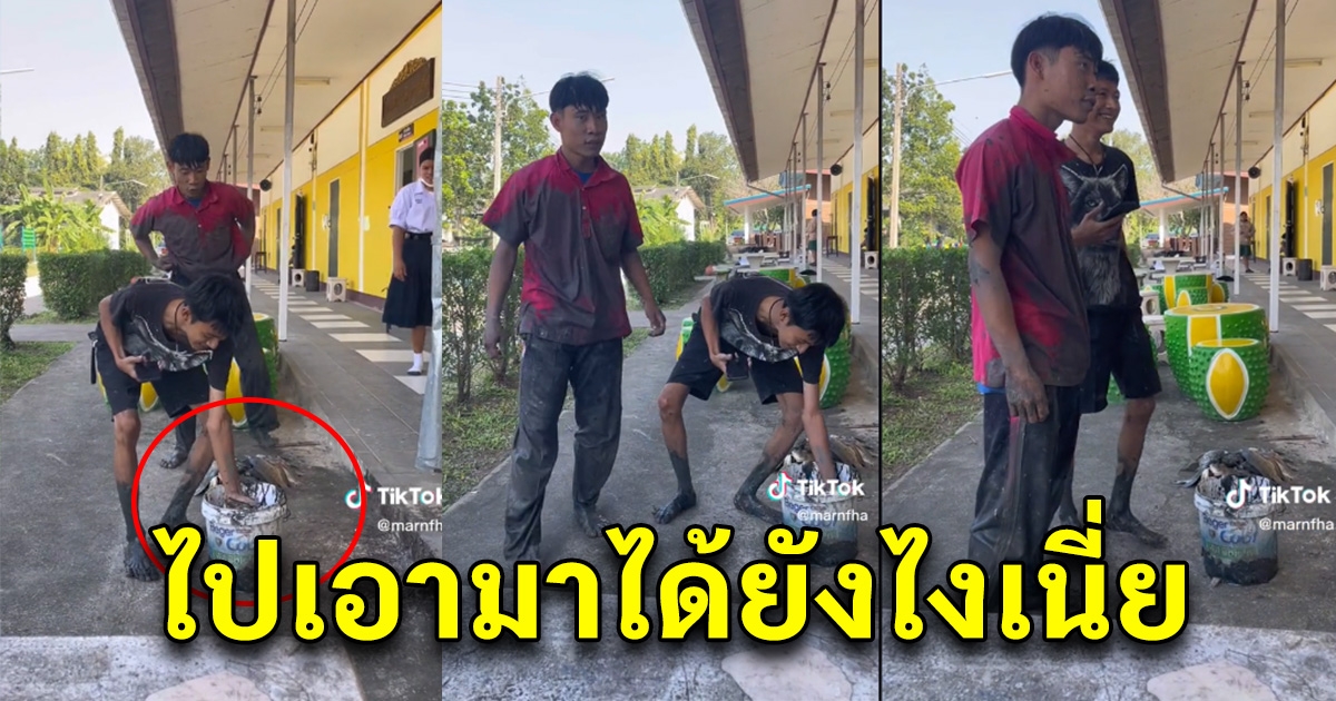 ครูสงสัย นักเรียนชายออกจากห้องเรียนไปนาน พอกลับมาถึง ไม้เรียวในมือสั่นเลย