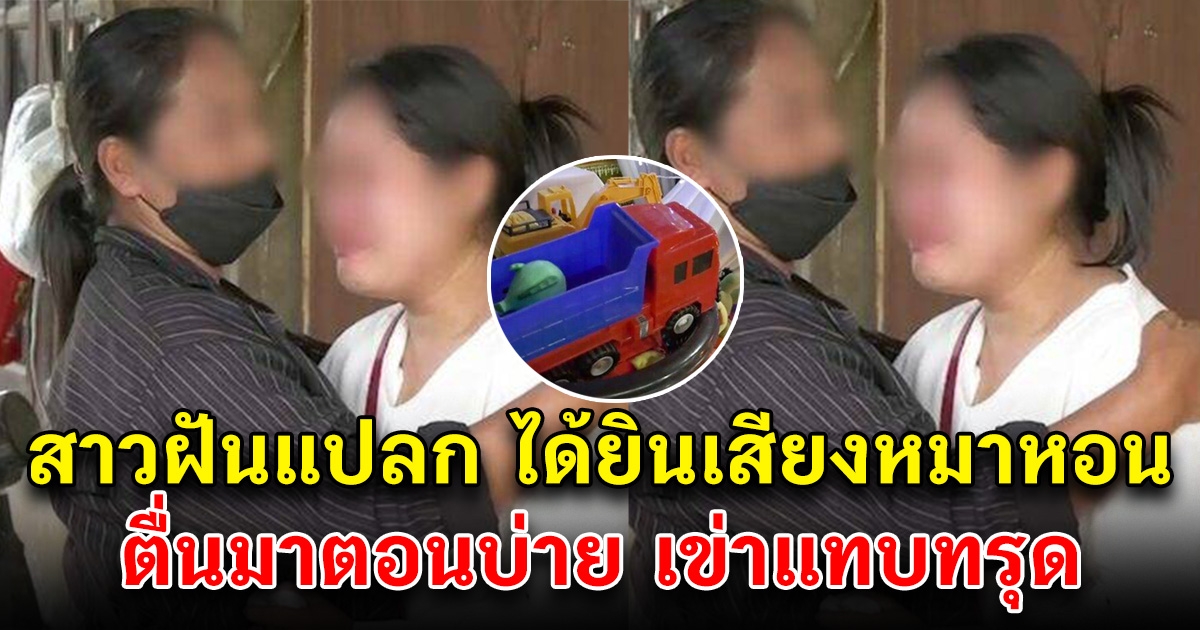 สาวฝันแปลก ใจไม่ดี หมาหอน 2 คืนติด พอตื่นมาตอนบ่าย เข่าแทบทรุด