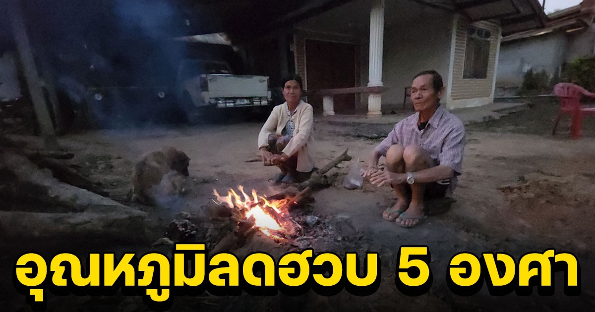 เลย อากาศหนาวเกษตรที่สูงลดฮวบ 5 องศา ส่วนยอดภูเรืออากาศหนาว 10 องศา