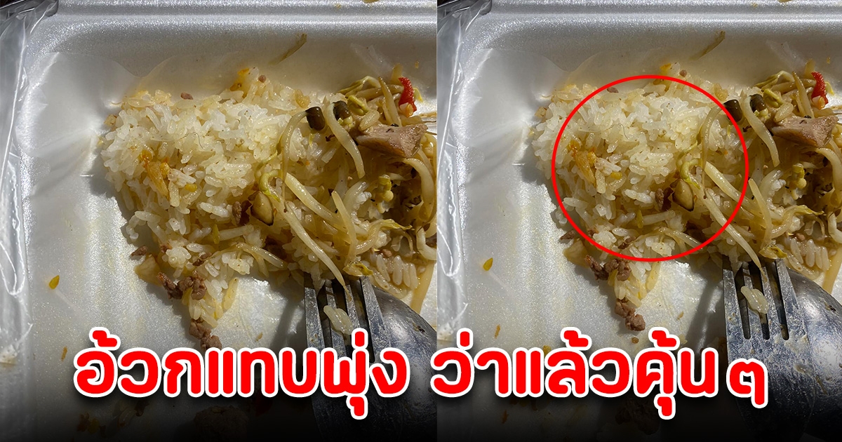 สาวซื้อข้าวกล่องมากิน กินไปได้ 2 คำ เจอเส้นสีดำคุ้นๆ