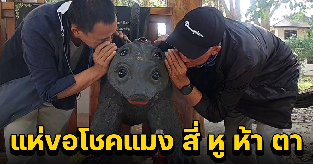 แห่ขอโชคของขวัญปีใหม่แมง สี่ หู ห้า ตา รับโชคใหญ่ปี 2566
