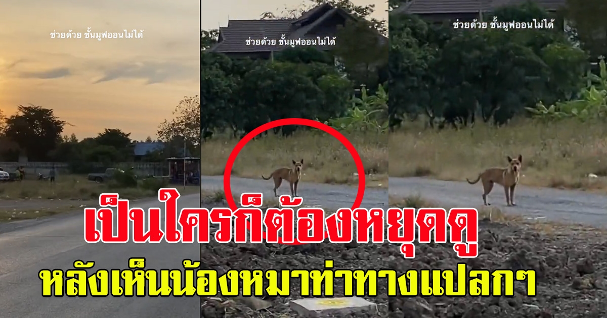 สาวโพสต์ เปิดเพลงเฉลิมฉลองปีใหม่
