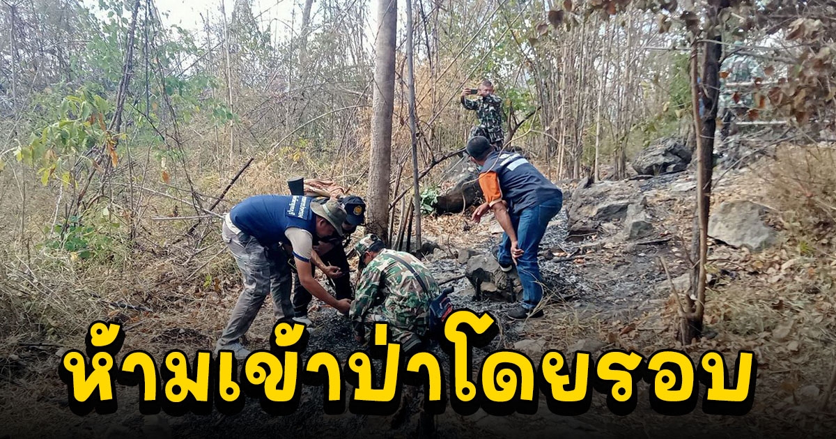 ด่วน ม.มหิดลฯประกาศ ห้าม นศ.เข้าป่าโดยรอบ หลังมีชาวบ้านพบเสือโคร่ง