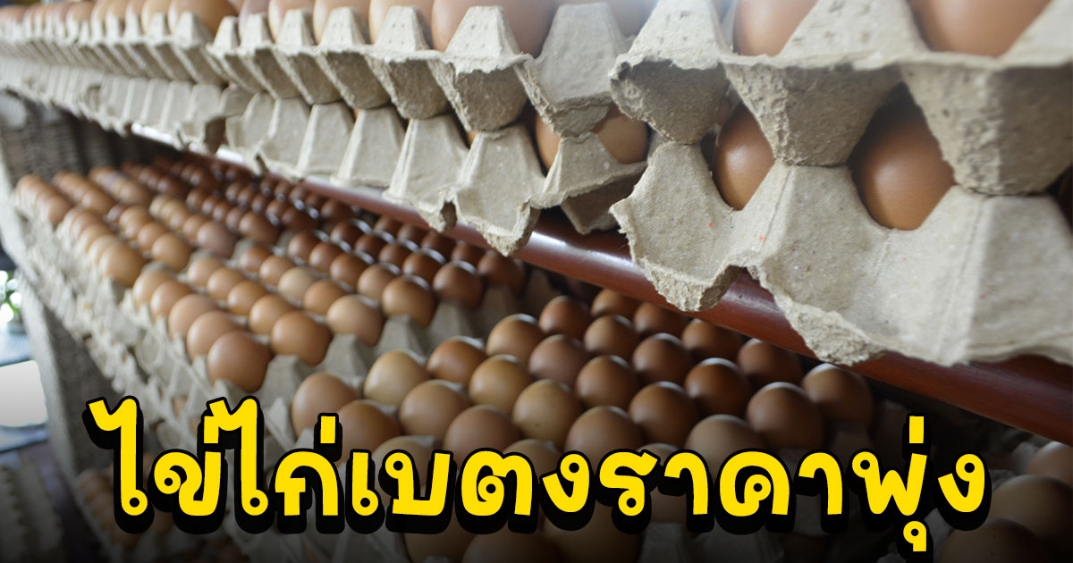 ไข่ไก่เบตงราคาพุ่งลูกละ 4 บาท สวนทางกับรายได้ที่ค่าแรงขั้นต่ำ 240