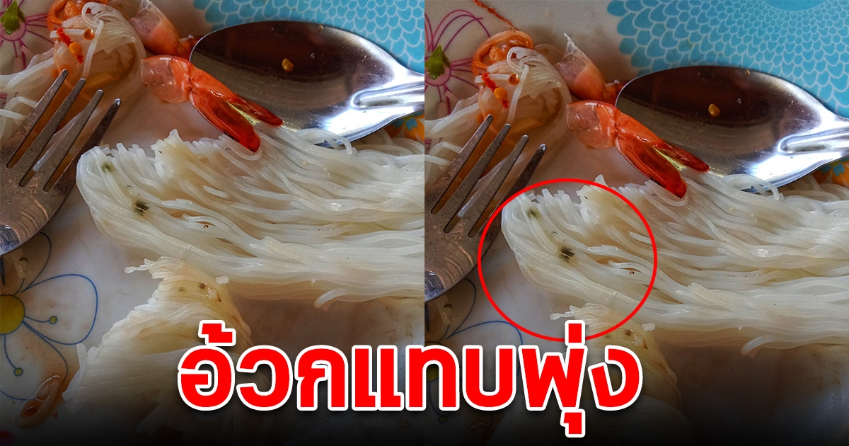 สาวหิวจนตาลาย กินขนมจีนเกือบจะหมดจาน กำลังจะตักคำสุดท้าย สะดุดตาจุดดำๆ