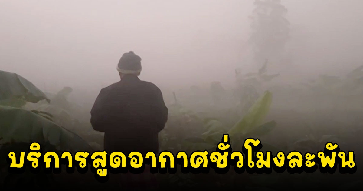 ลุงบ้านป่าเปิดบริการสูดอากาศชั่วโมงละพัน