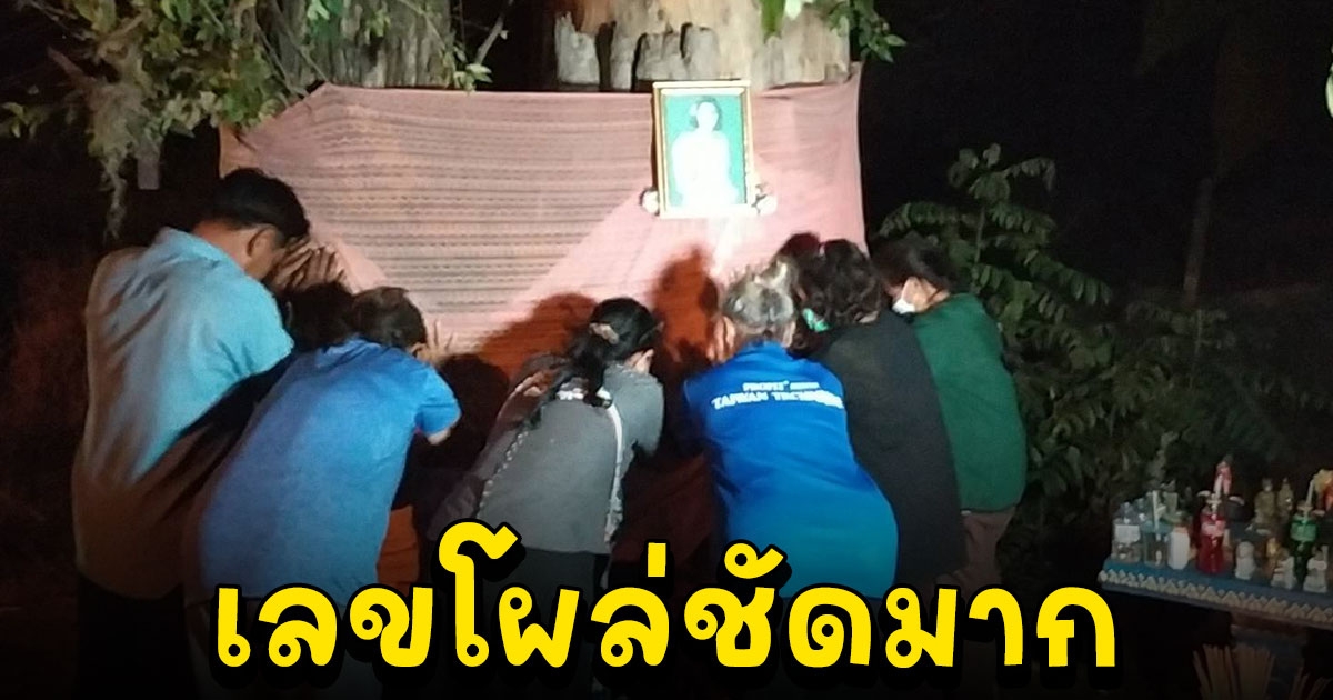 เลขโผล่เจ้าแม่ตะเคียนยืนต้นสูงใหญ่ติดถนนสายใหญ่ หลังชาวบ้านบุกมากลางดึก