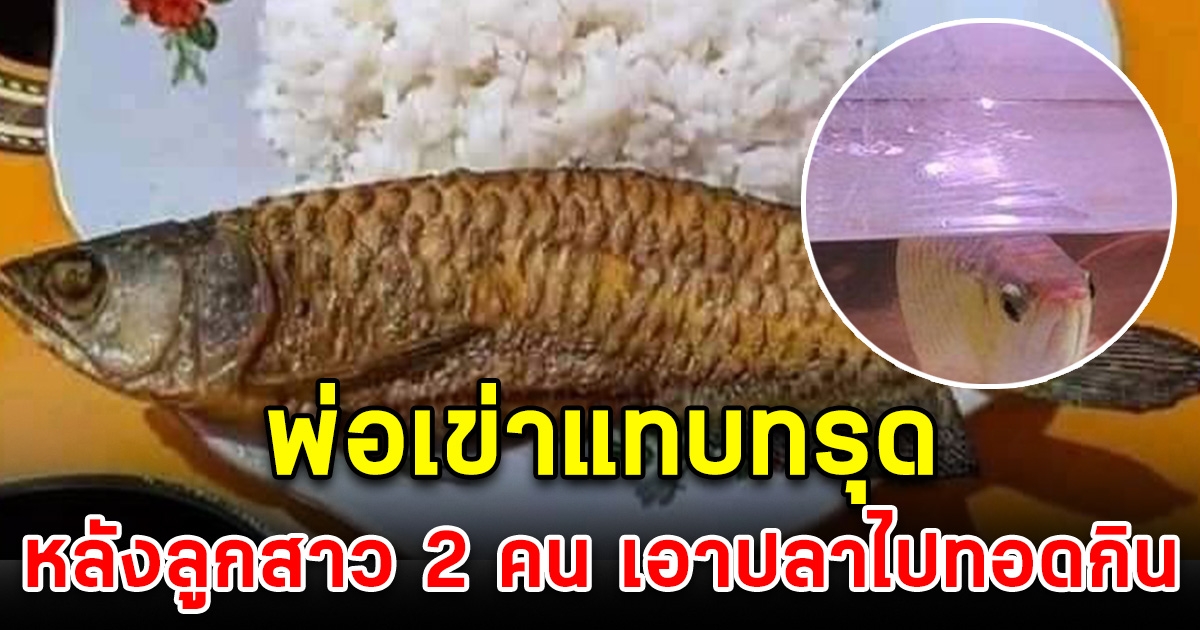 พ่อถึงกับน้ำตาคลอ หลังลูกสาว 2 คนเอาปลาอโรวาไปทอดกิน เห็นราคาแล้ว เสียดายสุดๆ