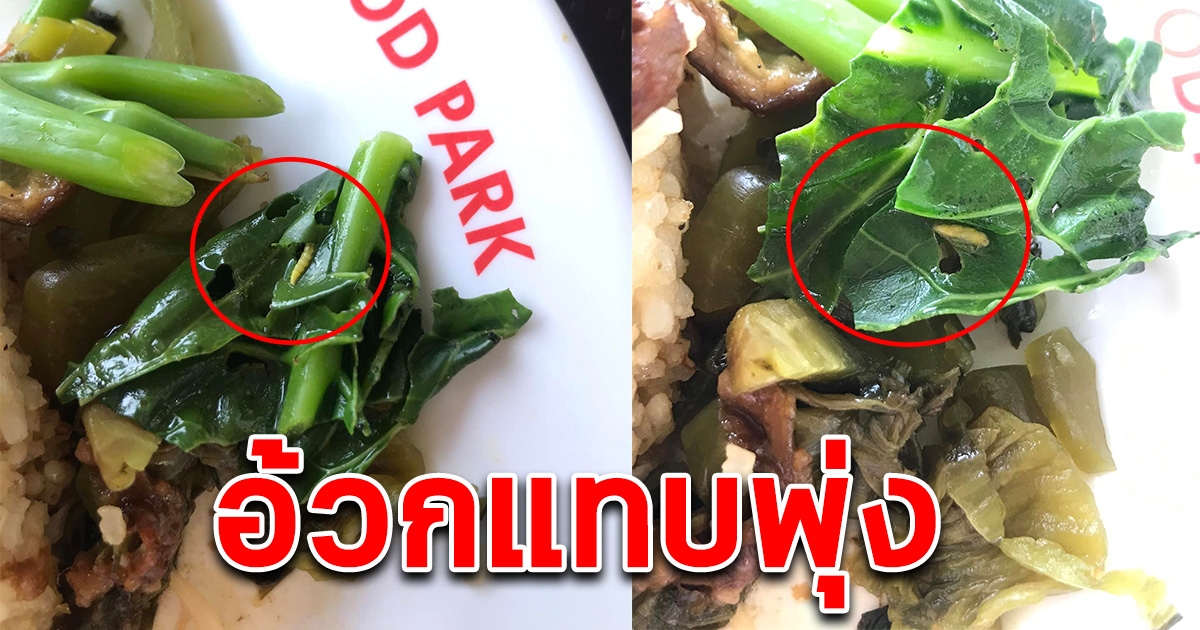 สาวสั่งข้าวขาหมูในห้างมากิน สะดุดตาเห็นมีบางอย่างขยับได้