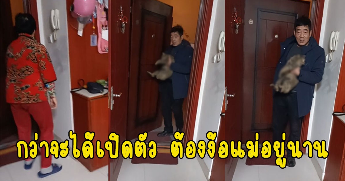 พ่อพาเหมียวที่รักเข้าบ้าน ซุ่มดูแลมา 2 ปี กว่าจะได้เปิดตัว ต้องง้อแม่อยู่นาน