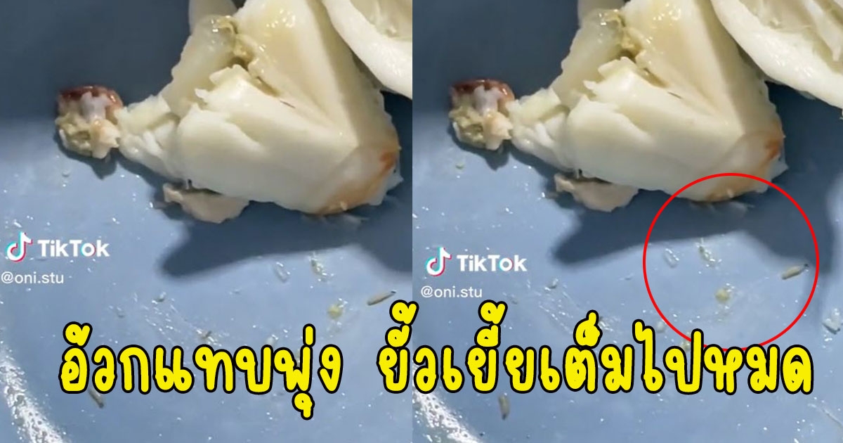 สาวซื้อกรรเชียงปูนึ่ง แต่สุดท้ายได้ของแถมชวนอี๋ ใครจะไปกินลง