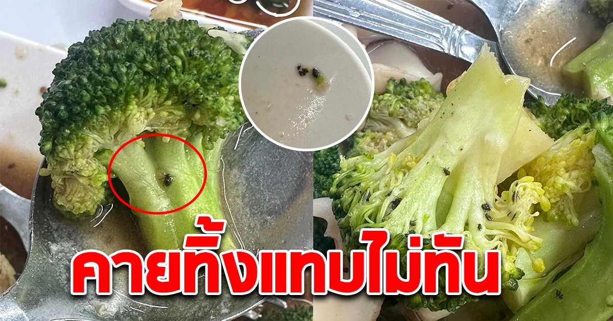 หนุ่มกินข้าวกับผัดผักบร็อคโคลี อยู่ดีๆ สุดท้ายแทบอยากคายทิ้ง เจอเต็มๆ