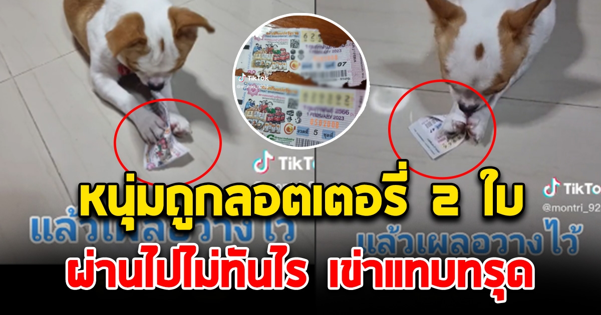 หนุ่มถูกลอตเตอรี่ เผลอวางทิ้งไว้ ผ่านไปไม่ทันไร ใจสลาย