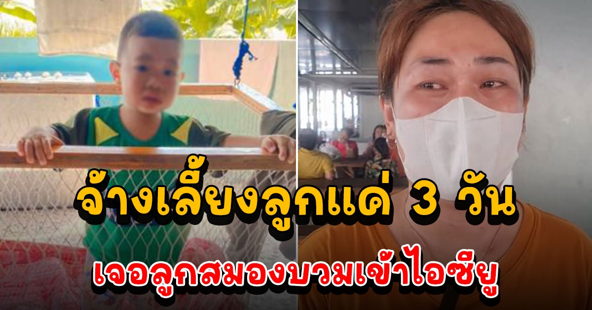 แม่เลี้ยงเดี่ยวสุดเศร้าจ้างเลี้ยงลูก 3 วัน ไปรับลูกกลับเจอลูกสมองบวมเข้าไอซียู