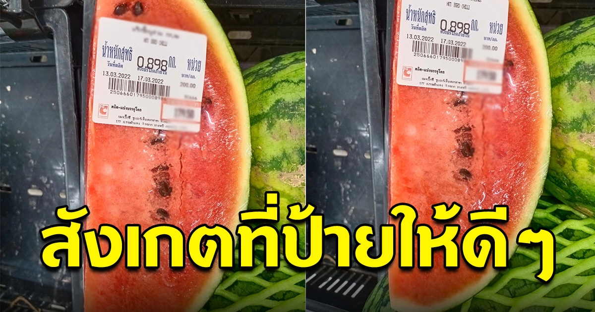 หนุ่มเดินไปซื้อแตงโม กำลังจะหยิบขึ้นมาดู แต่สังเกตที่ป้ายให้ดีๆ