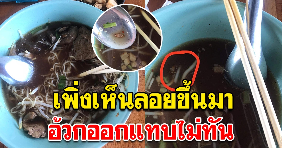 สาวซดก๋วยเตี๋ยวน้ำตกแซ่บๆ กินจนจะหมด เพิ่งเห็นลอยขึ้นมา