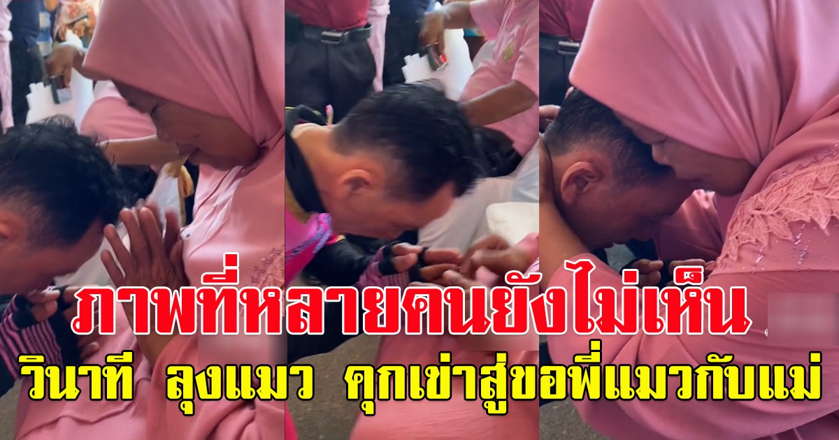 ภาพที่หลายคนยังไม่เห็น วินาที ลุงแมว คุกเข่าสู่ขอพี่แมวกับแม่