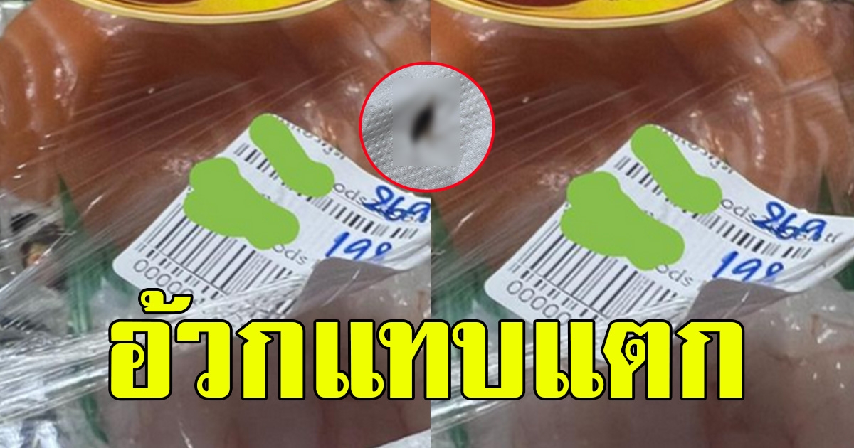 สาว ซื้อซาชิมิ จากห้าง หลังแกะออกถึงกับโยนทิ้ง