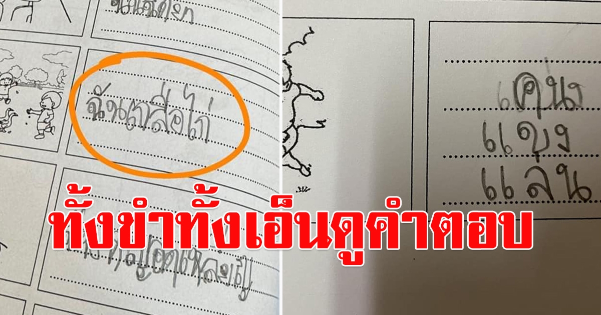เอ็นดูกันทั้งโซเชียล คำตอบ หนูน้อย ป.1 แต่งประโยคจากภาพ