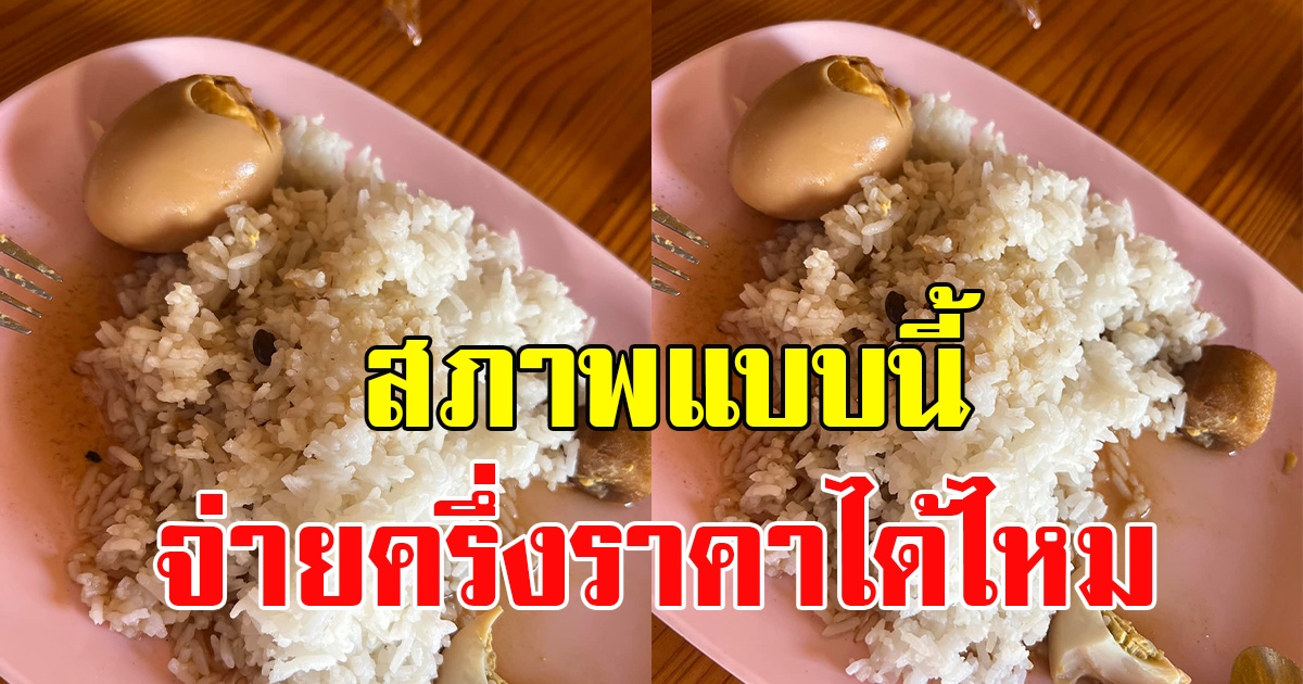 สาวถามหาหมู หลังสั่งข้าวพะโล้แต่ไม่มีหมูสักชิ้น ก่อนแม่ค้าตอบกลับสุดพีค แบบนี้ก็ได้หรอ