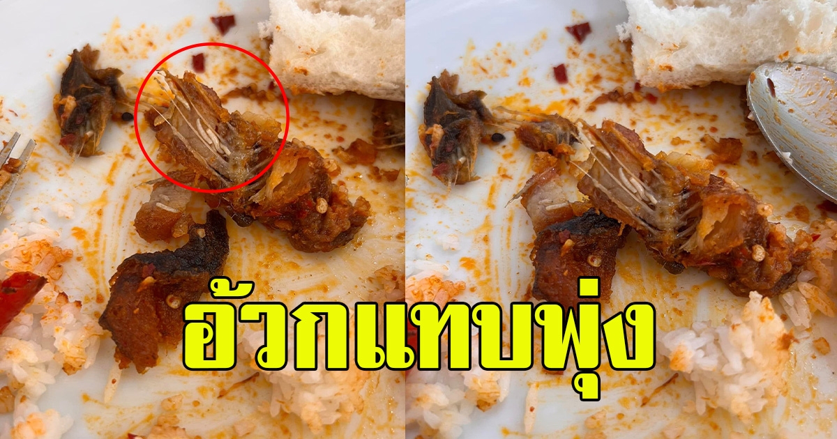 สาวสั่งข้าวราดแกง กำลังกินแซ่บๆ แต่กลับต้องสะดุดตาบางอย่างในจาน อ้วกแทบพุ่ง