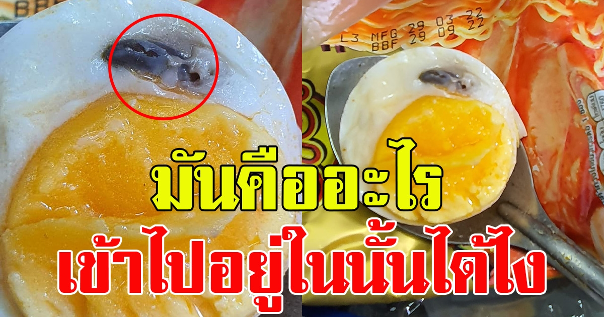 หนุ่มซื้อไข่ต้มจากร้านสะดวกซื้อพบไข่หน้าตาแปลกๆไม่เคยเห็นมาก่อน