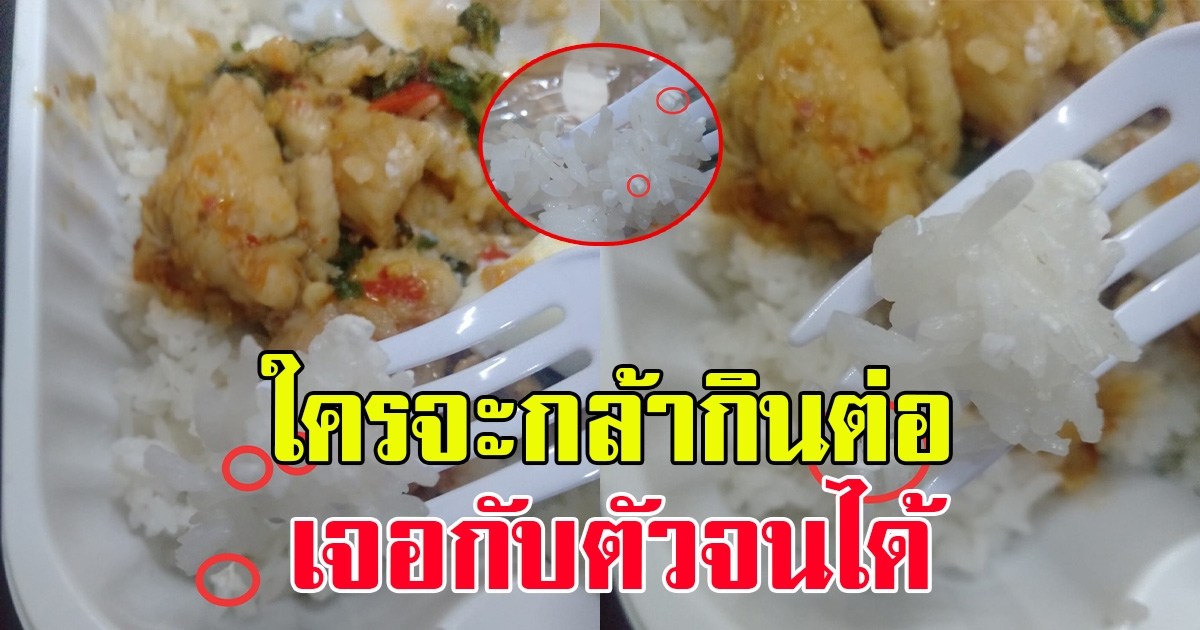 หนุ่มสั่งข้าวกล่องจากร้านสะดวกซื้อ พอเปิดข้าวกิน หยุดชะงัก เจอกับตัวจนได้