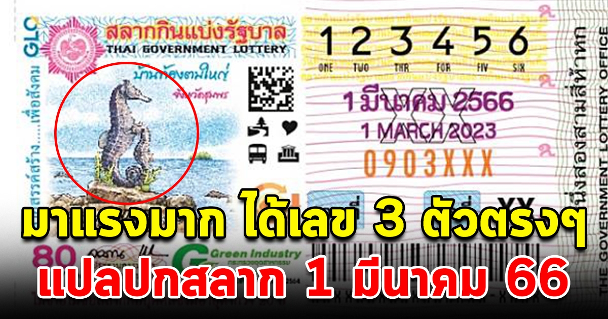 มาแรงมาก แปลปกสลาก 1 มีนาคม 66 ได้เลข 3 ตัวตรงๆ