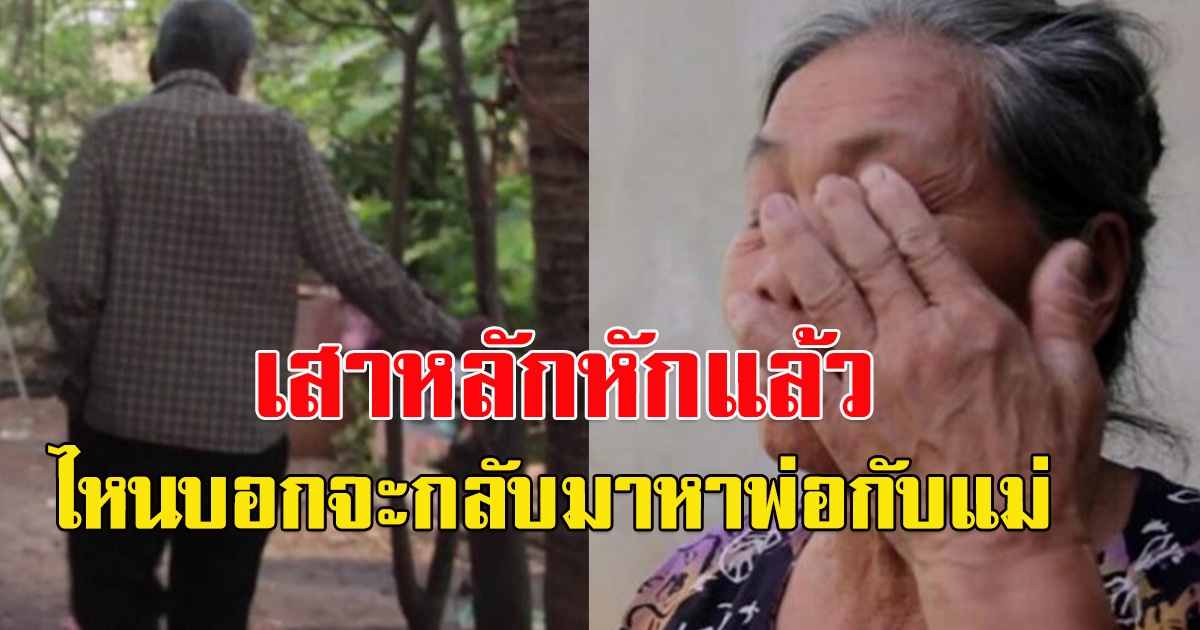 ตา-ยาย แกร้องไห้แทบขาดใจ ลูกชายเพิ่งบอกว่า จะกลับมาอยู่บ้านนะแม่ หลังไปทำงานเกาหลี