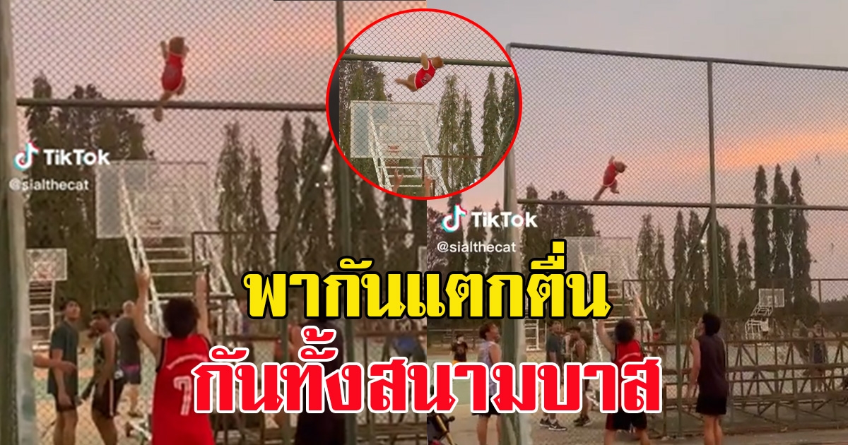 น้องแมวแต่งชุดนักกีฬาไปเชียร์บาส ทำเอานักบาสแตกตื่นกันทั้งสนาม
