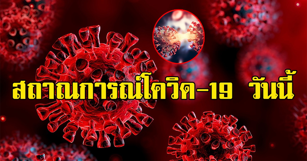 อัปเดตสถานการณ์โควิด ผู้ติดเชื้อโควิด และผู้เสียชีวิตวันนี้
