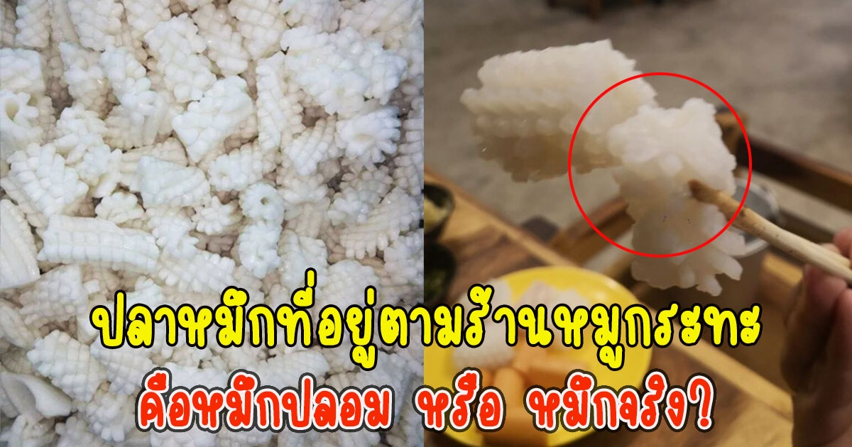 โซเชียลถาม ปลาหมึกบั้งสีขาว ที่อยู่ตามร้านหมูกระทะ คือหมึกปลอม หรือ หมึกจริง