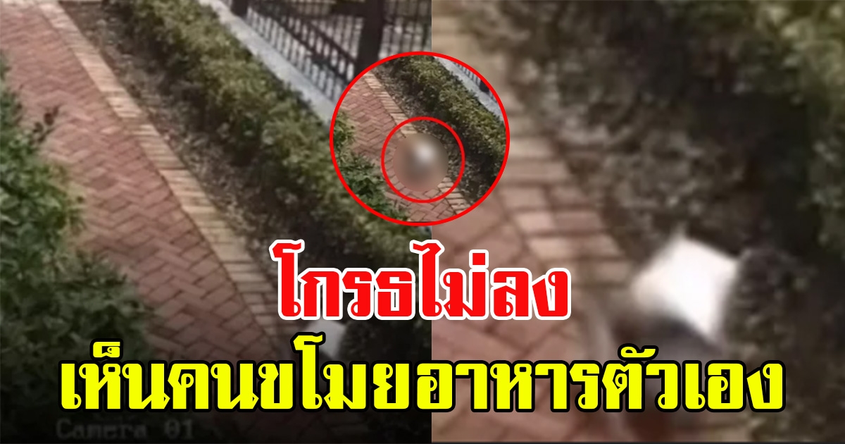 สาวโวยไรเดอร์ สั่งให้แขวนอาหารหน้าบ้าน เช็กวงจรปิด เจอโฉมหน้า ผู้ร้ายตัวจริงกลับโกรธไม่ลง