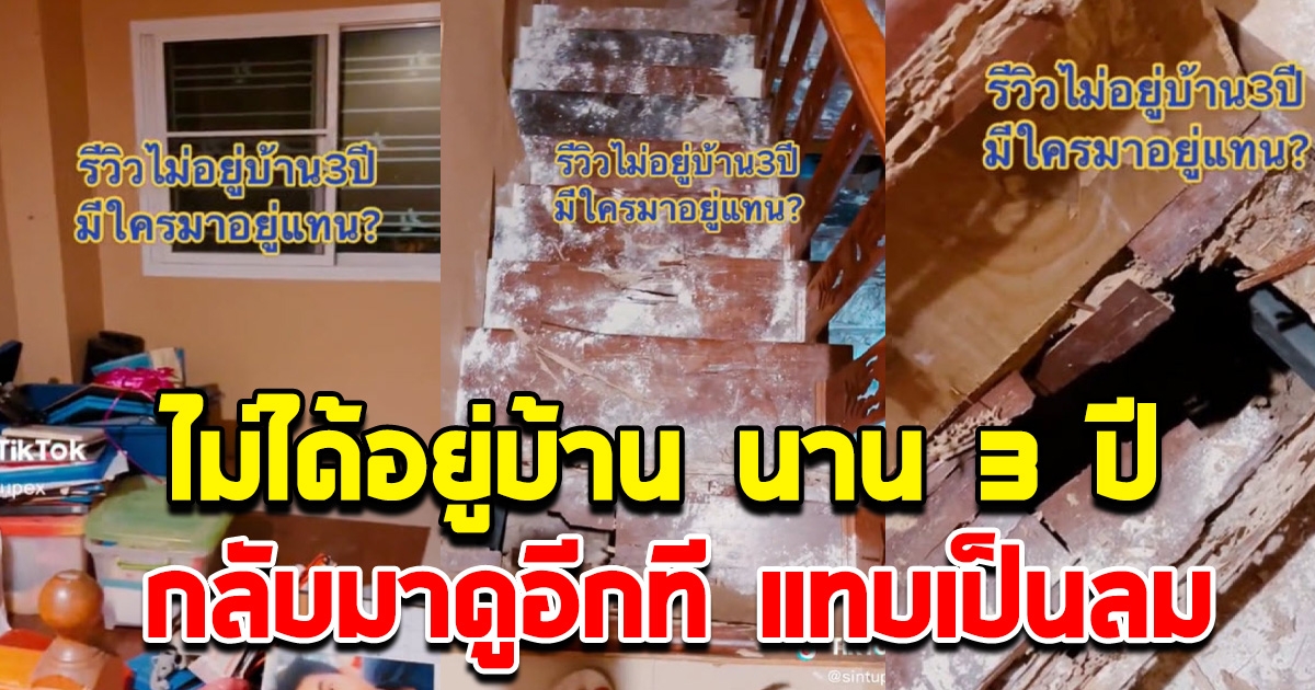 หนุ่มเปิดบ้าน ที่ไม่ได้อยู่นาน 3 ปี เกือบเป็นลม