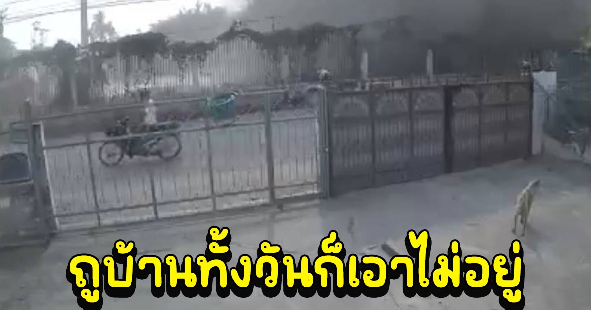 สาวสุดเซ็ง ฝุ่นซีเมนต์บริษัทฟุ้งกระจายเข้าบ้านเสี่ยงเป็นมะเร็งปอด ถูบ้านทั้งวันก็เอาไม่อยู่