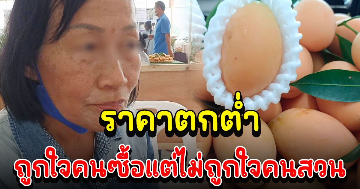 ชาวสวนมะยงชิดโอด ราคาตกต่ำ 50 ก็ขาย ดีกว่าปล่อยเน่าทิ้ง
