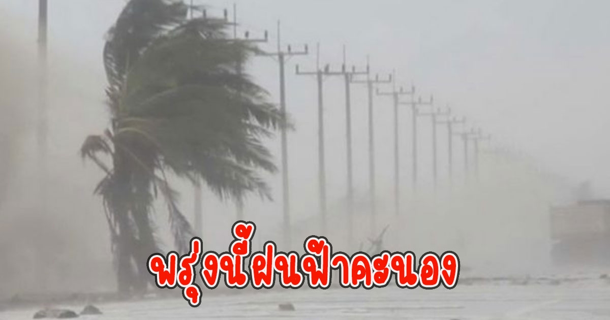 พรุ่งนี้ฝนฟ้าคะนอง กรมอุตุนิยมวิทยา เตือนรับมือ