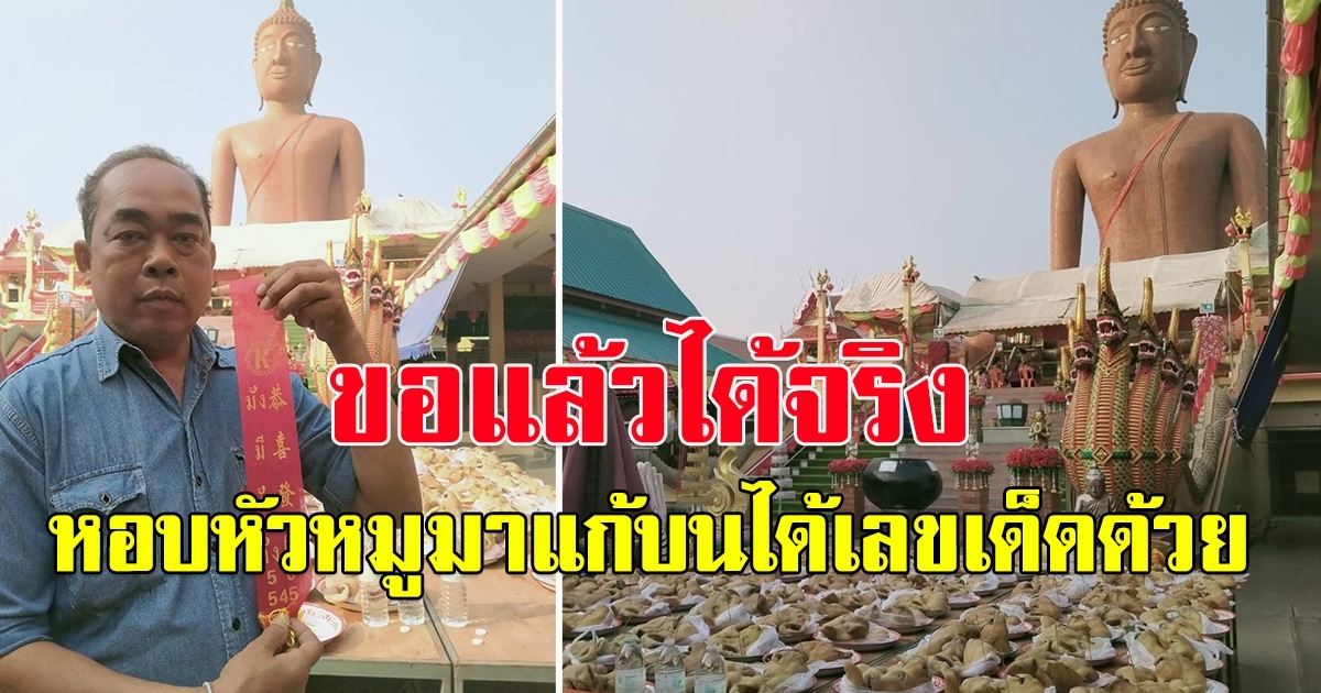 เจ้าของธุรกิจ ถวายหัวหมู 100 หัว แก้บน หลวงพ่อสมหวัง