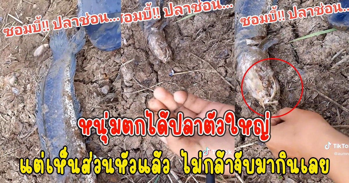 หนุ่มตกได้ปลาตัวใหญ่ แต่เห็นส่วนหัวแล้ว ไม่กล้าจับมากินเลย