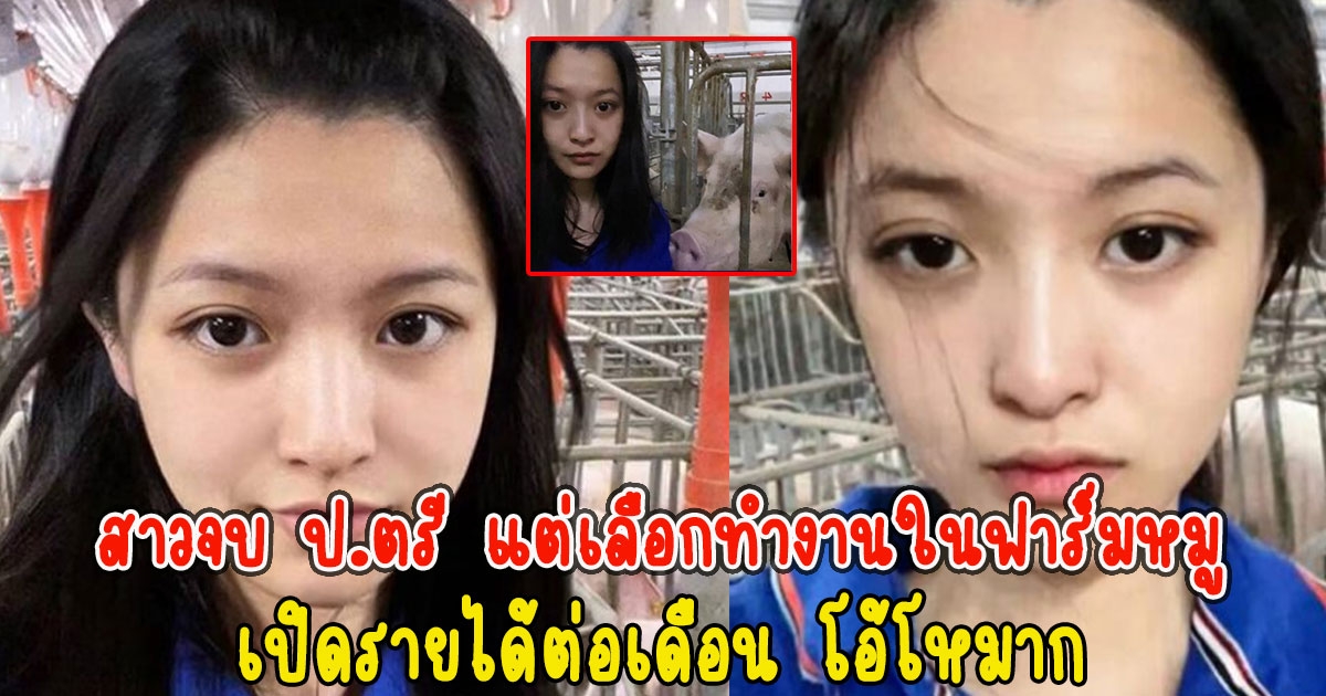 สาวจบ ป.ตรี แต่เลือกทำงานในฟาร์มหมู เปิดรายได้ต่อเดือน โอ้โหมาก