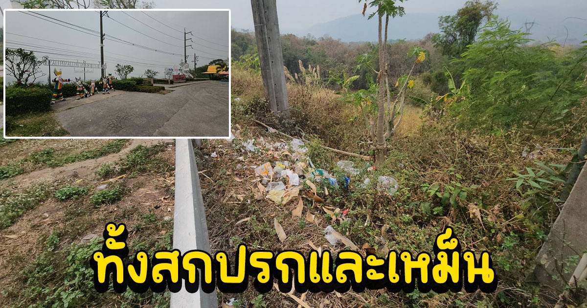 ชาวบ้านร้องจุดชมวิวด่านซ้ายไม่มีถังขยะ นทท.ทิ้งขยะจนสกปรกและเหม็น