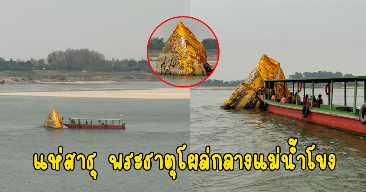 แห่สาธุ พระธาตุโผล่กลางแม่น้ำโขง