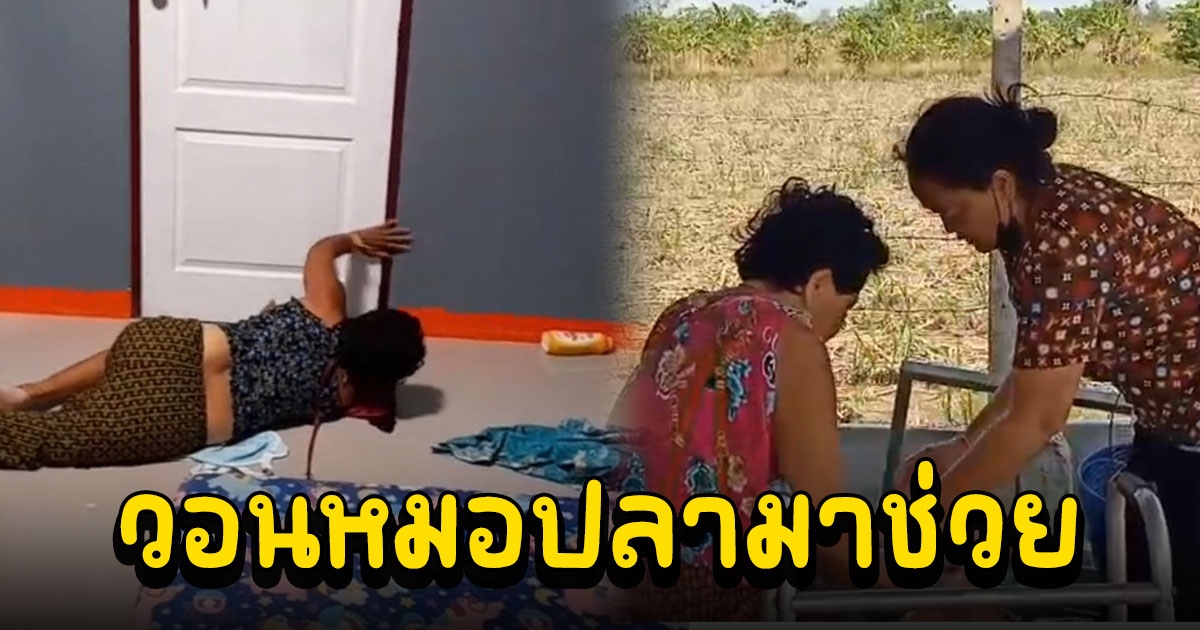 ย่าวัย 69 ปีมีอาการกรีดร้องเสียงดังทุบประตูควบคุมตัวเองไม่ค่อยได้คล้ายผีเข้า วอนหมอปลามาช่วย