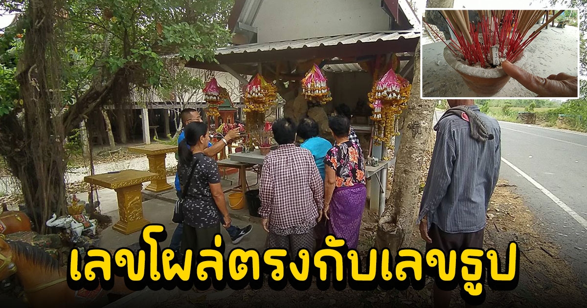 จอมปลวกใหญ่เกาะศาลตาเจ้าวัด เลขโผล่ขึ้นนูนตรงกับเลขธูป